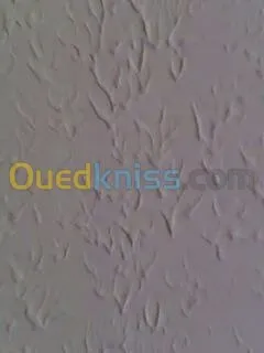 peinture interieur et exterieur, déco