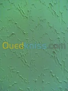 peinture interieur et exterieur, déco