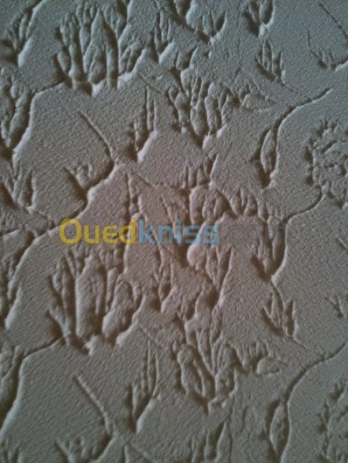 peinture interieur et exterieur, déco