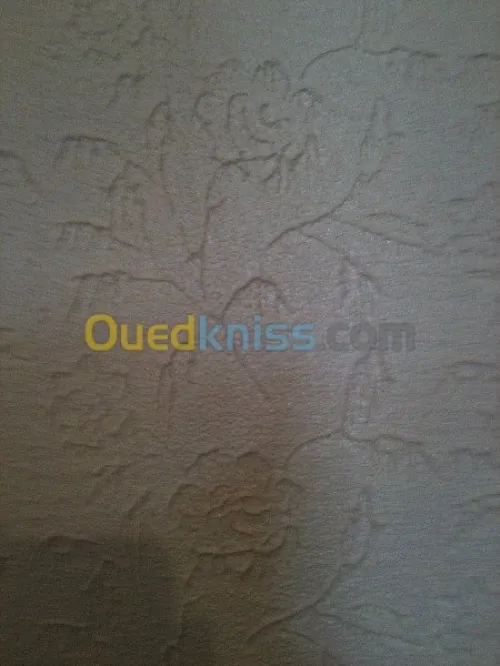 peinture interieur et exterieur, déco