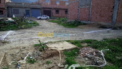 Vente Terrain Tlemcen Tlemcen