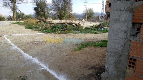 Vente Terrain Tlemcen Tlemcen
