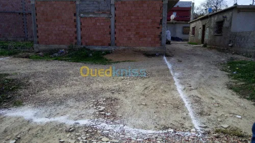 Vente Terrain Tlemcen Tlemcen