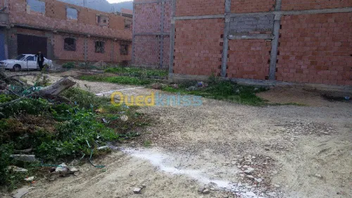 Vente Terrain Tlemcen Tlemcen
