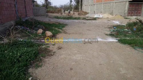 Vente Terrain Tlemcen Tlemcen