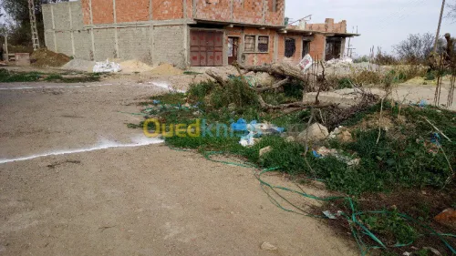 Vente Terrain Tlemcen Tlemcen