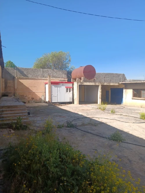 Location Hangar - Usine Aïn Defla Ain soltane