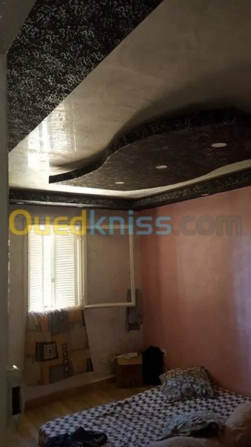 Pose et fourniture placo platre 