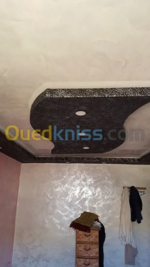 Pose et fourniture placo platre 