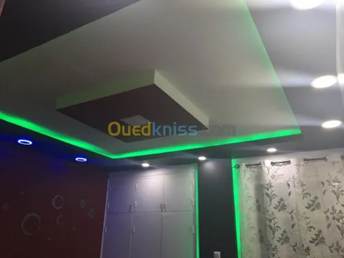 Pose et fourniture placo platre 