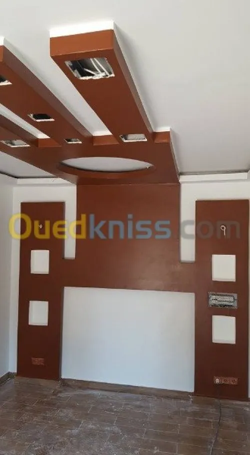 Pose et fourniture placo platre 