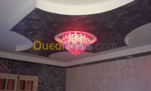 Pose et fourniture placo platre 