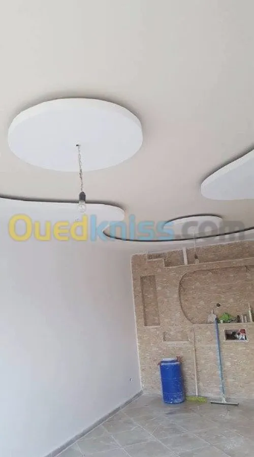 Pose et fourniture placo platre 