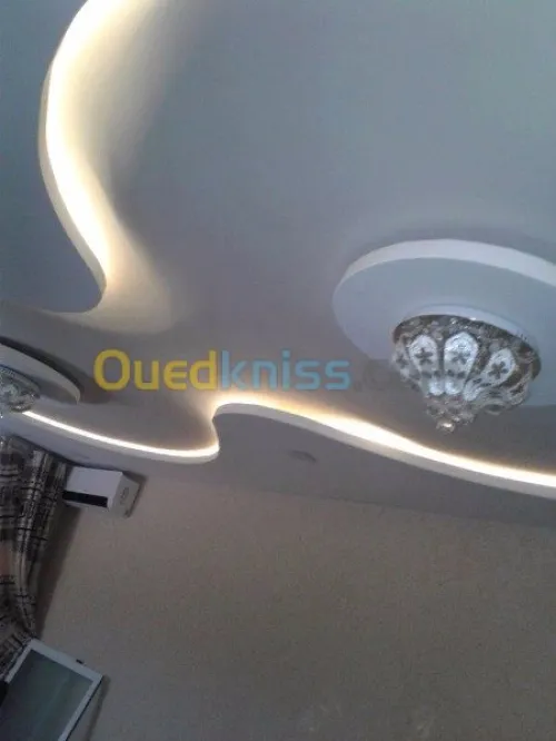 Pose et fourniture placo platre 