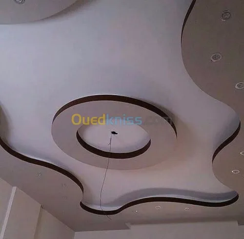 Pose et fourniture placo platre 