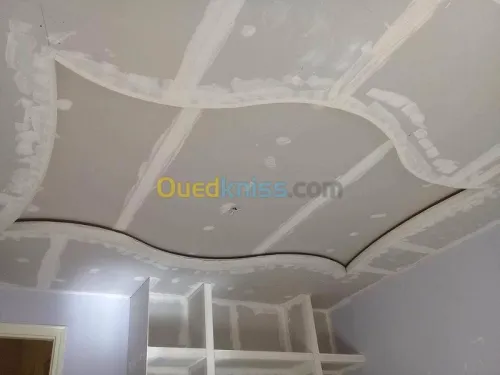 Pose et fourniture placo platre 