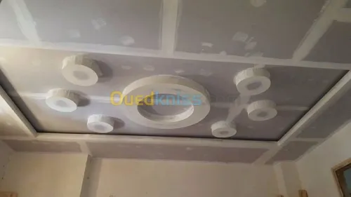 Pose et fourniture placo platre 