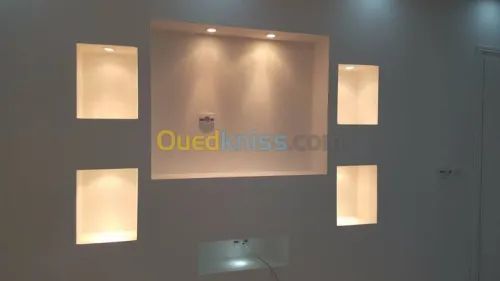 Pose et fourniture placo platre 