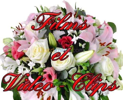 Photographe cameraman 