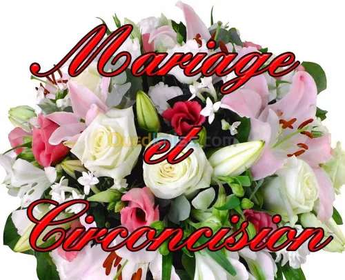 Photographe cameraman 