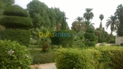 Aménagement et entretien des espaces verts  