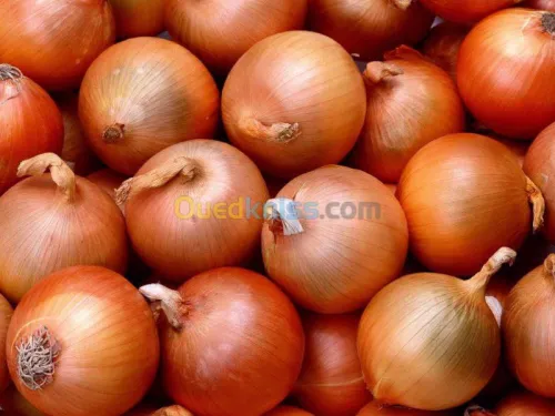 Exportation tout les produit agro-alim