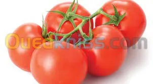Exportation tout les produit agro-alim