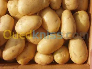 Exportation tout les produit agro-alim