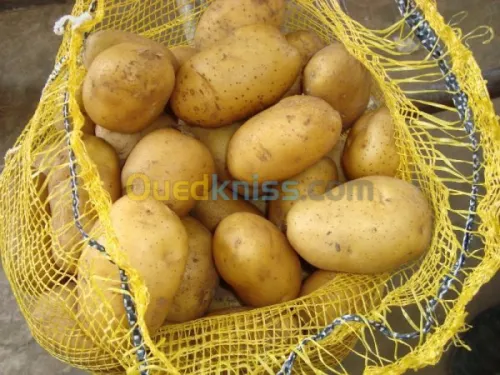 Exportation tout les produit agro-alim