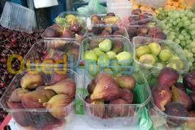 Exportation tout les produit agro-alim