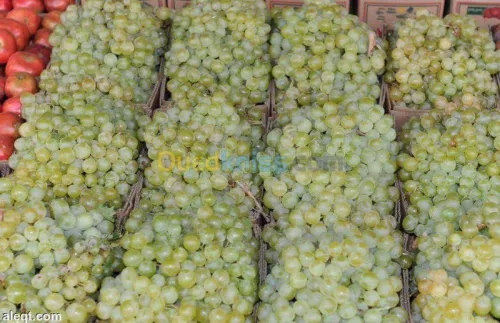 Exportation tout les produit agro-alim
