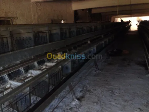 batteries pour poules 