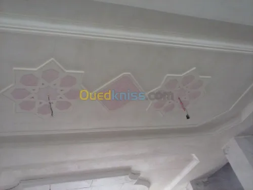 Platrier;Decoration en platre