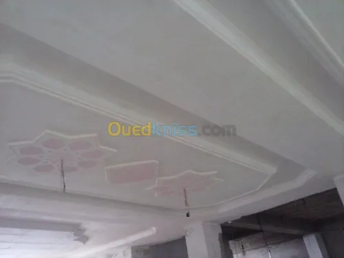 Platrier;Decoration en platre