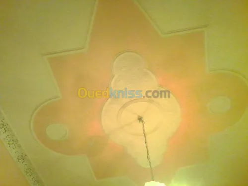 Platrier;Decoration en platre