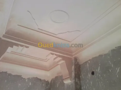 Platrier;Decoration en platre