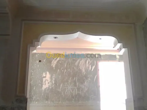 Platrier;Decoration en platre