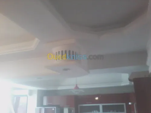 Platrier;Decoration en platre