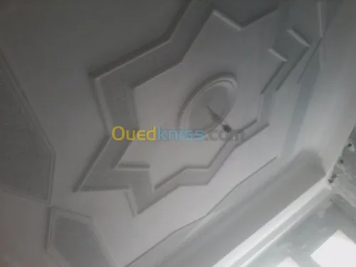 Platrier;Decoration en platre