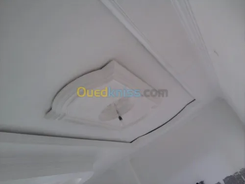 Platrier;Decoration en platre