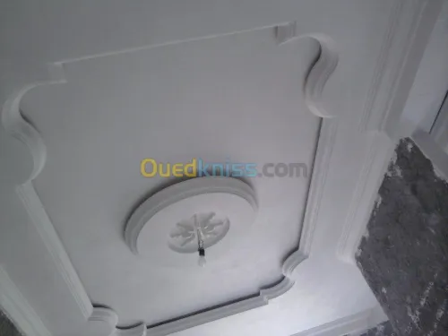Platrier;Decoration en platre