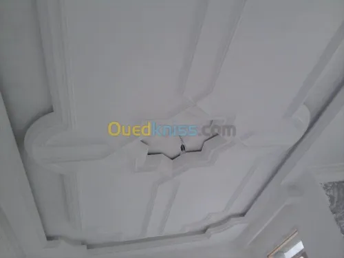 Platrier;Decoration en platre