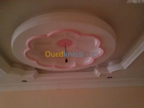 Platrier;Decoration en platre