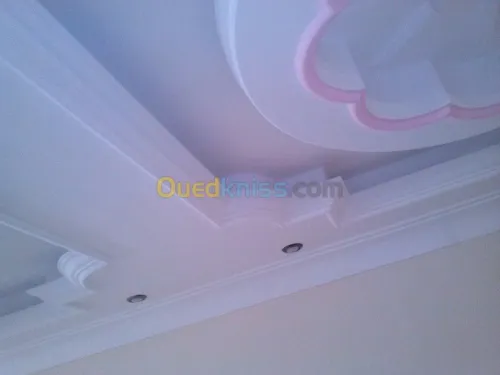 Platrier;Decoration en platre