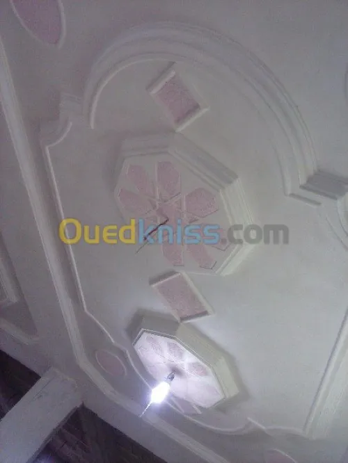 Platrier;Decoration en platre