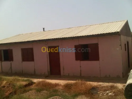 Vente Terrain Mostaganem Sayada