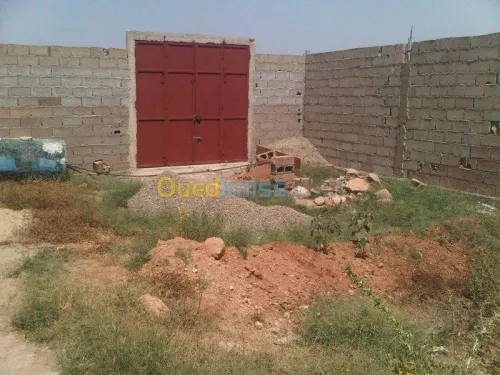 Vente Terrain Mostaganem Sayada