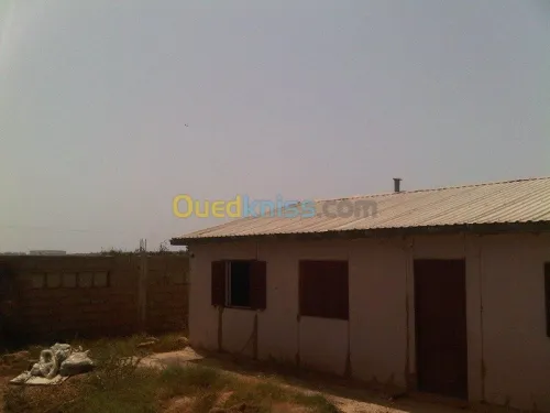 Vente Terrain Mostaganem Sayada