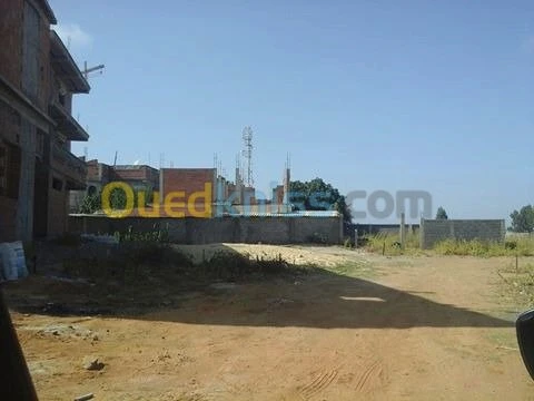 Vente Terrain Boumerdes Zemmouri