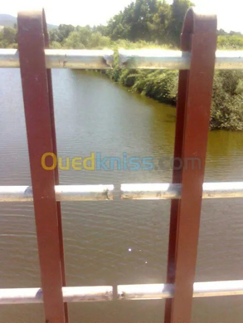 constructions modernes charpentes